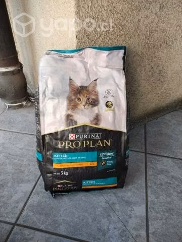 Alimento Gato Proplan Kitten