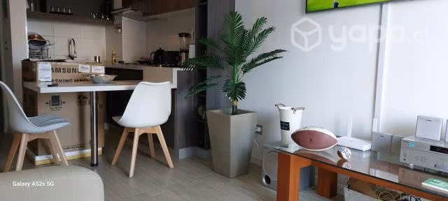 Plantas Premium artificiales decorativas - Imagen 2