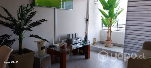 Plantas Premium artificiales decorativas