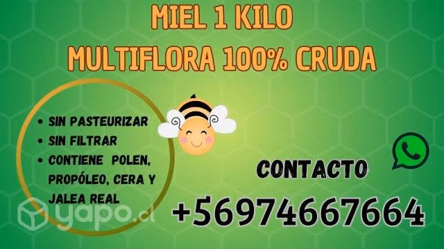 Miel multiflora 100% cruda