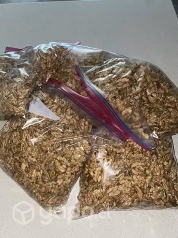 Nueces Chandler
