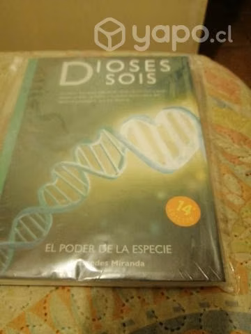 Dioses sois.