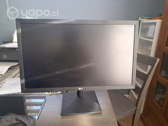 Monitor de 19,5 pulgadas