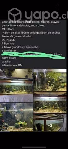 Pecera grande