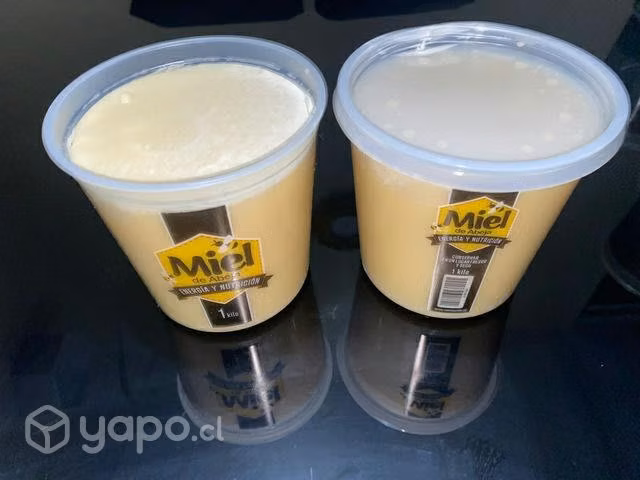 Miel líquida, multi floral y de ulmo