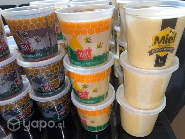 Miel líquida, multi floral y de ulmo