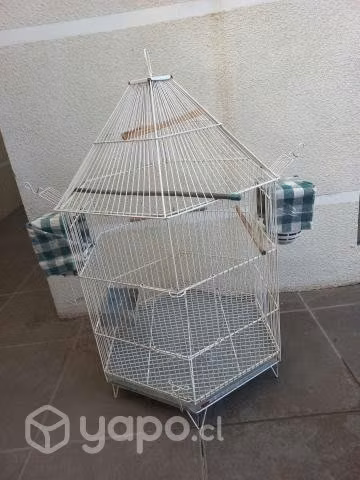 Jaula de pajaro