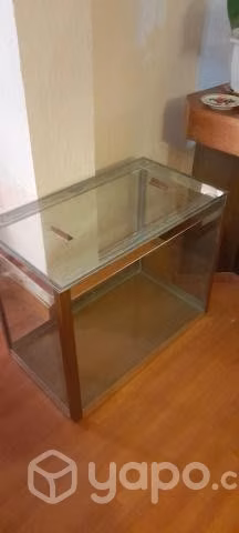 Pecera - Imagen 2