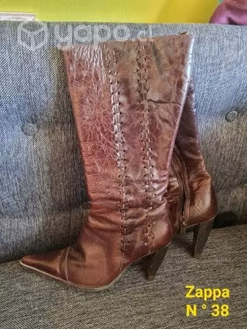 Bota