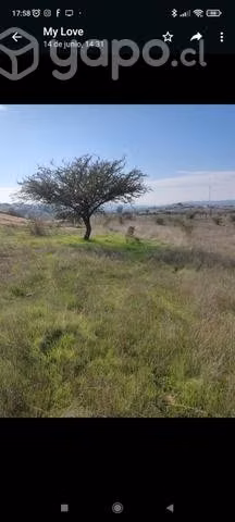 Parcela 5000 mt2 - Imagen 3