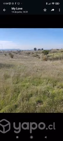 Parcela 5000 mt2 - Imagen 5