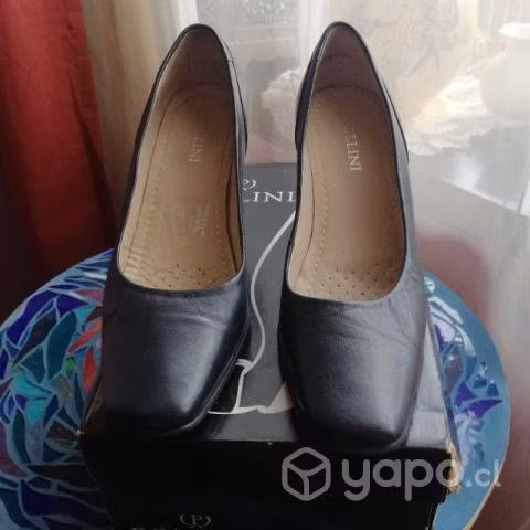 Zapatos pollini