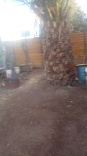 Sitio en liray colina - Imagen 2
