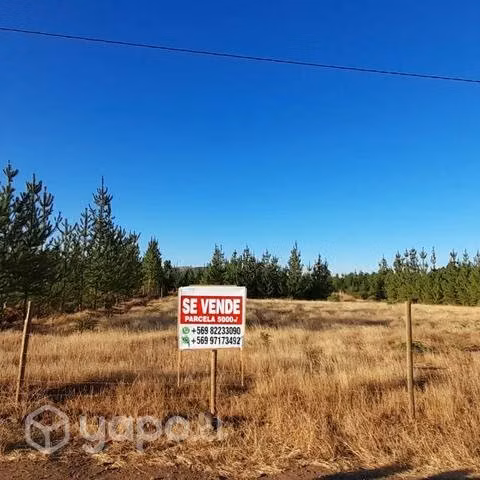 Parcela de agrado 5.000 M2 - Imagen 6