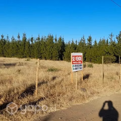 Parcela de agrado 5.000 M2 - Imagen 3