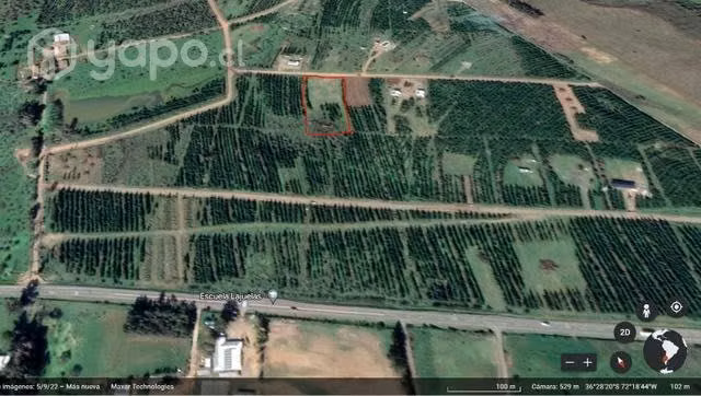 Parcela de agrado 5.000 M2 - Imagen 7
