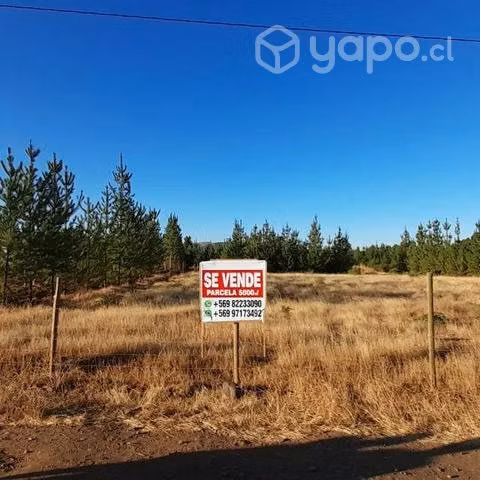 Parcela de agrado 5.000 M2 - Imagen 5
