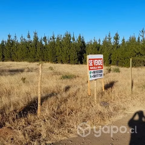 Parcela de agrado 5.000 M2 - Imagen 8
