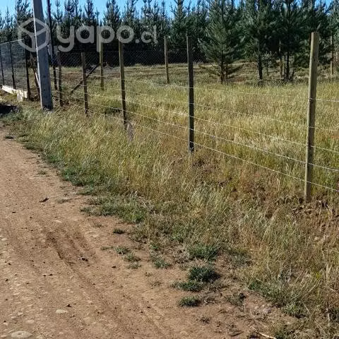 Parcela de agrado 5.000 M2 - Imagen 2