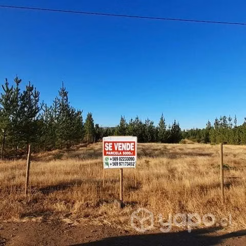Parcela de agrado 5.000 M2 - Imagen 4