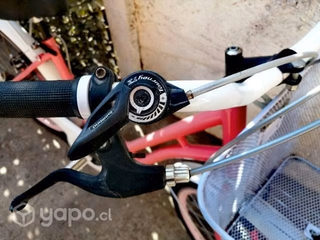 Bicicleta Urbana