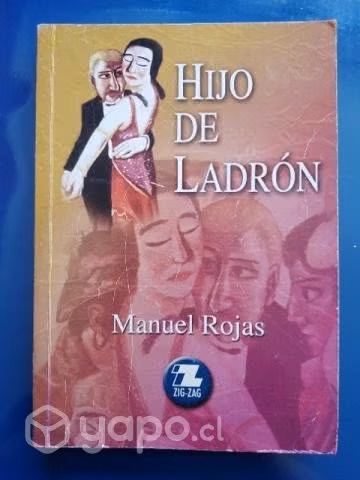 Libro Hijo de ladrón