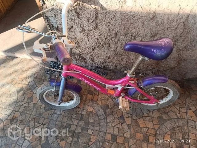 Bicicleta pequeña
