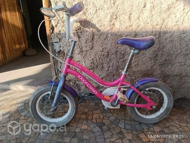 Bicicleta pequeña