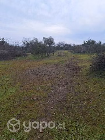 Terreno En Longavi