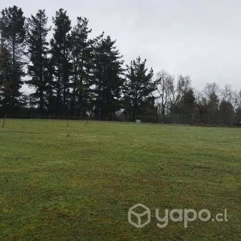 Hermosa parcela en Villarrica 5000m2