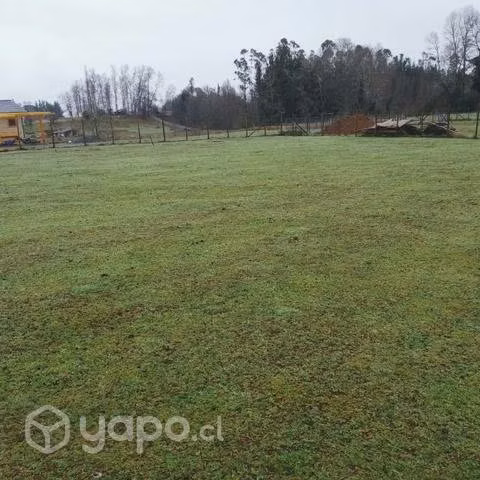 Hermosa parcela en Villarrica 5000m2