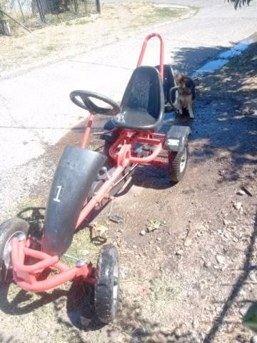 Go-cart Doble