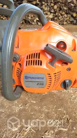 Motosierra
