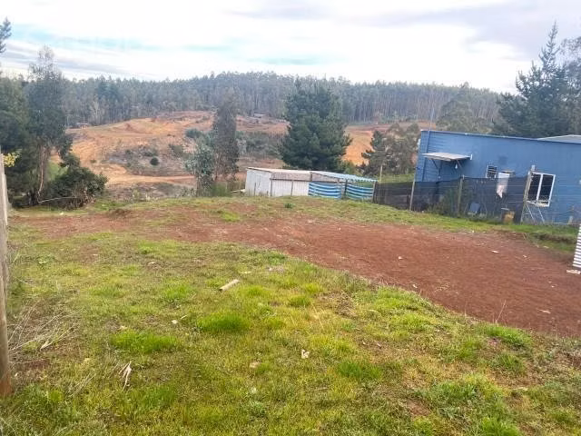 Terreno coliumo