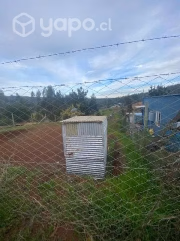 Terreno coliumo