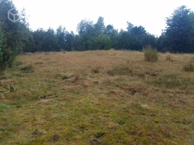 2,70 hectareas de terreno