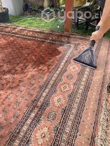Limpieza y sanitización de alfombras