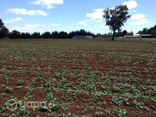 Terreno oportunidad - Imagen 6