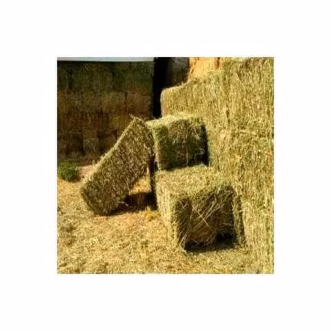 Fardos de pasto