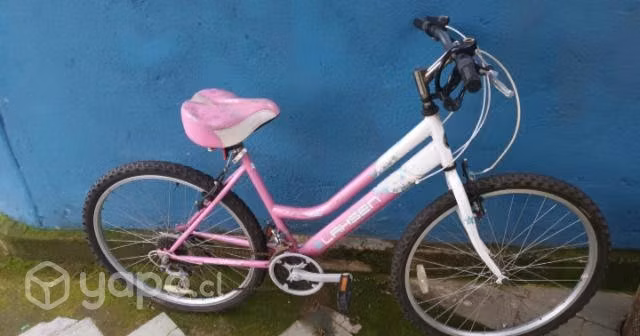 Bicicleta mujer