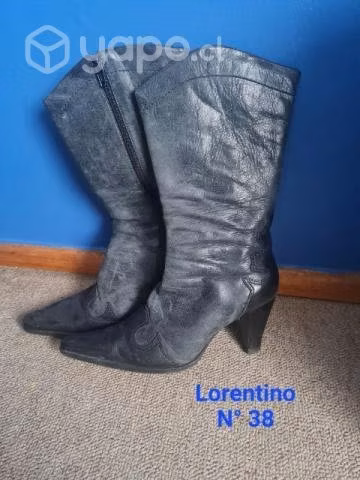 Bota