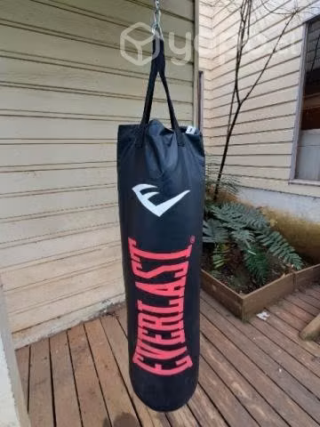 Pushing ball Everlast