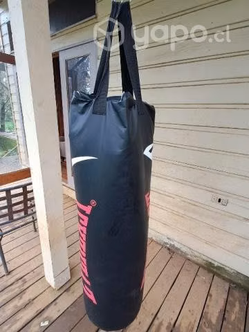 Pushing ball Everlast