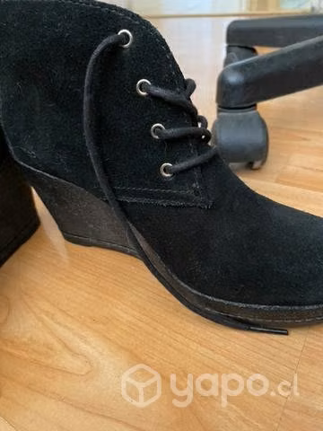 Zapatos Número 36 Tommy Hilfiger