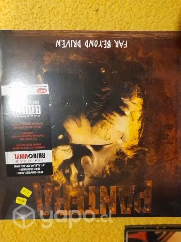 Vinilos pantera