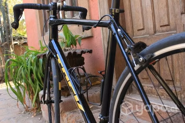 Trek al domane 2 2022