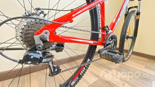 Bicicleta lahsen jaguar aro 29