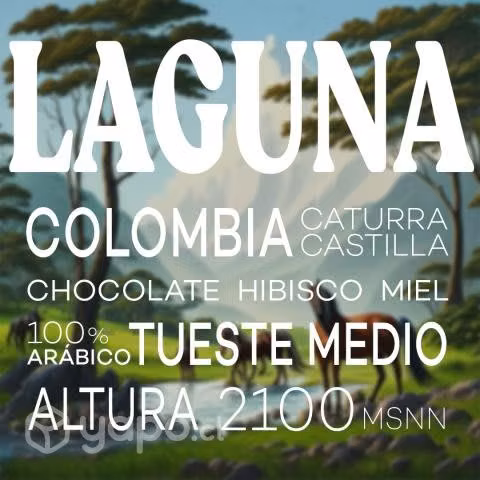 Café de especialidad colombiano