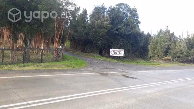 Parcela en Natri (chiloe)