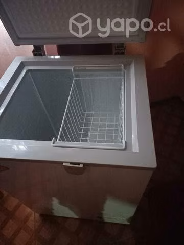 congelador maigas